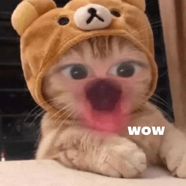 Wow meme là gì?