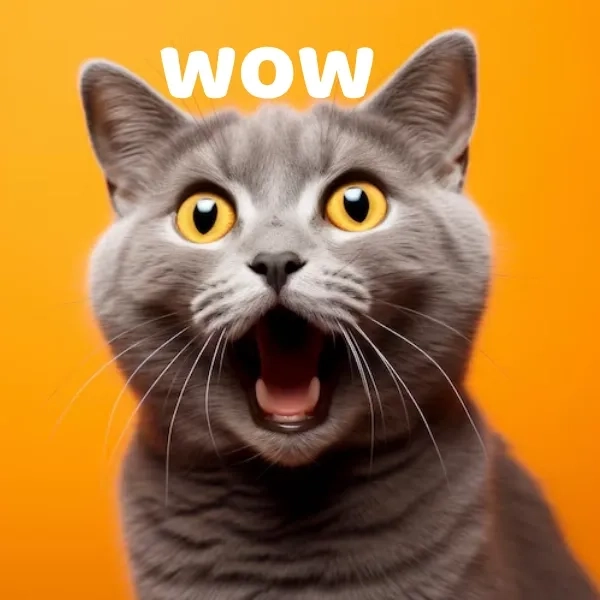 Trọn bộ oh my gosh wow meme cực ngầu để chia sẻ bạn bè
