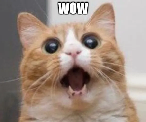 Bộ sưu tập ảnh meme wow chất nhất cho mọi tình huống