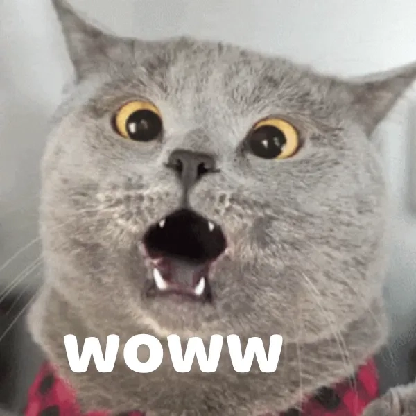 Tải ngay wow meme sound siêu hài để troll bạn bè