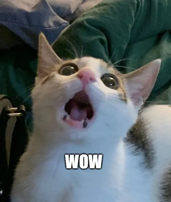 Chia sẻ ngay awesome wow meme khiến mọi người bất ngờ