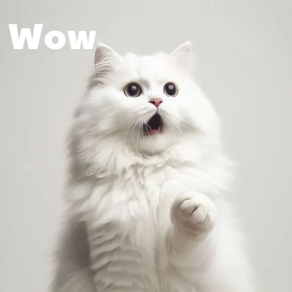 Trải nghiệm cười sảng khoái với wow wow meme chất lượng