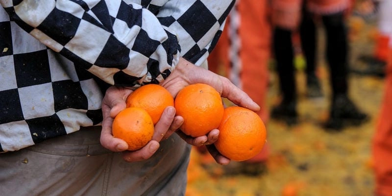 Sưu tầm những bức lễ hội Battle of the Oranges nổi bật
