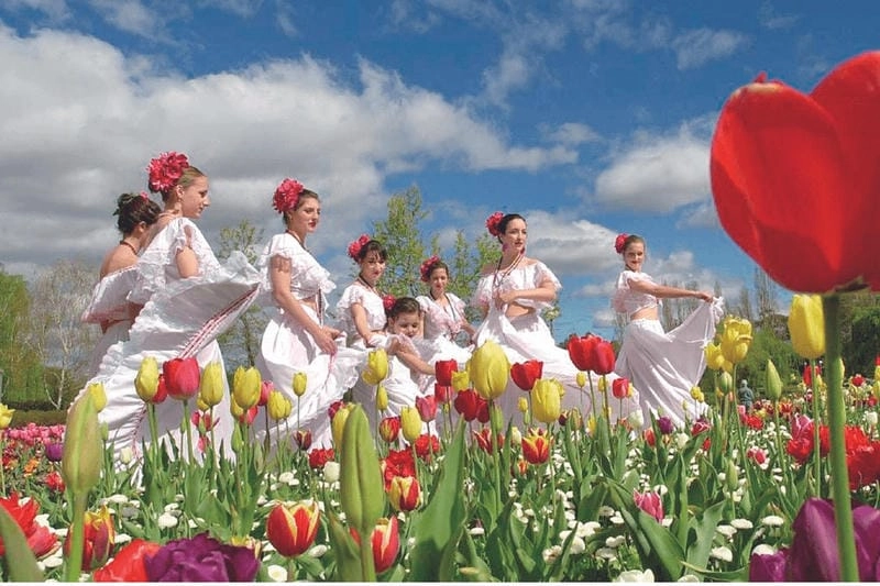 Tìm hiểu đôi nét về lễ hội Chelsea Flower Show