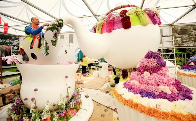 Tải ngay lễ hội Chelsea Flower Show truyền thống