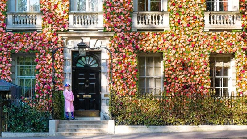Săn những bức ảnh lễ hội Chelsea Flower Show lung linh