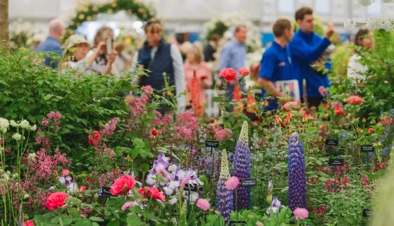Thức dậy cùng lễ hội Chelsea Flower Show ấn tượng