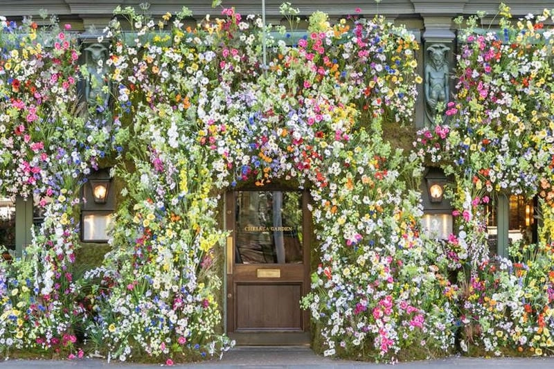 Gợi ý những bức lễ hội Chelsea Flower Show cuốn hút