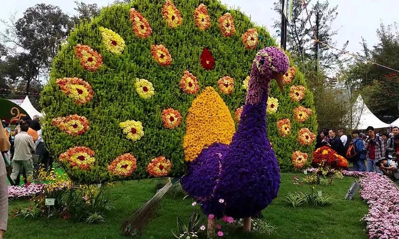 Lạc lối trong lễ hội Chelsea Flower Show huyền ảo