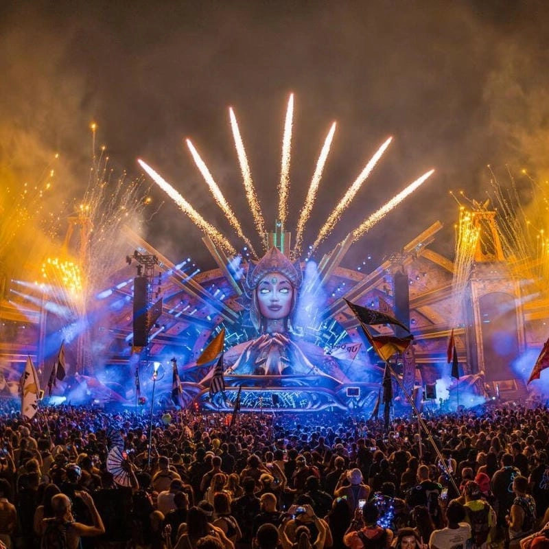 Sưu tầm những bức lễ hội Electric Daisy Carnival nổi bật