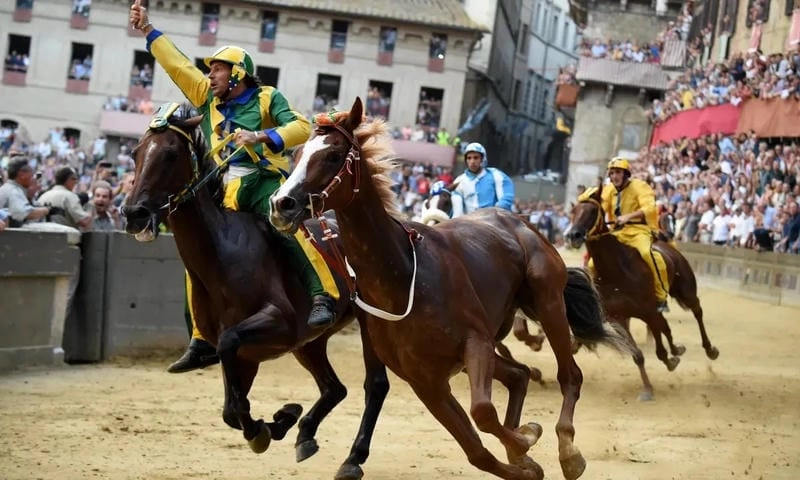 Săn những bức ảnh lễ hội Palio di Siena rực rỡ