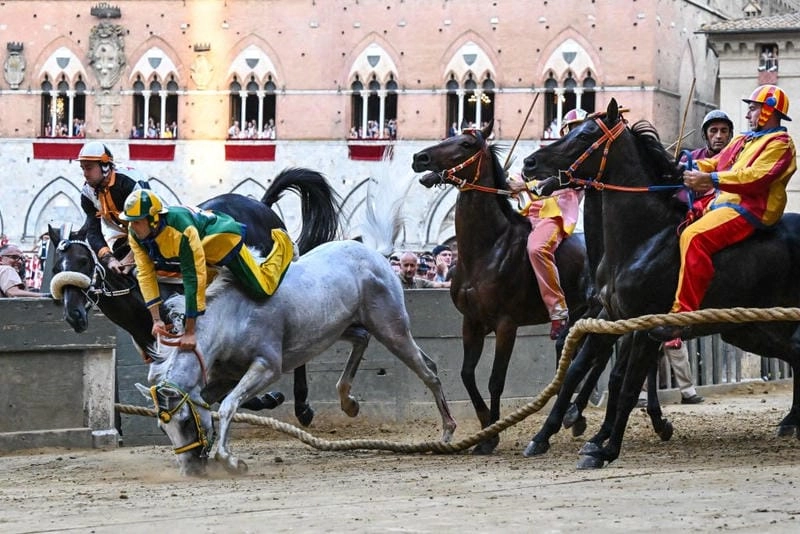 Sưu tầm những bức lễ hội Palio di Siena nổi bật