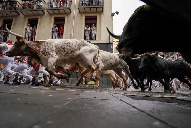 Tìm hiểu đôi nét giới thiệu về lễ hội San Fermin