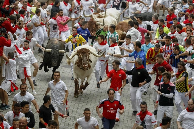 Khám phá các hoạt động chính tại lễ hội San Fermin