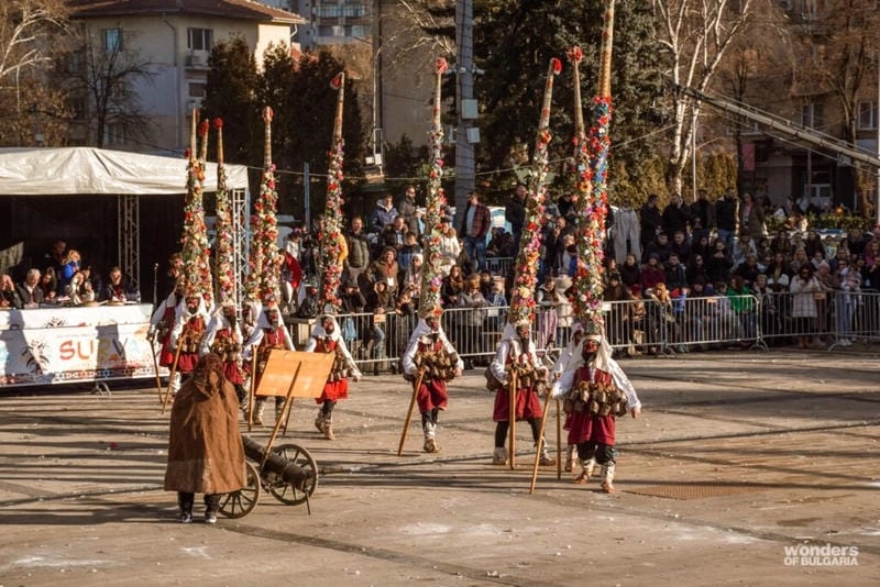 Lạc lối trong lễ hội Surva lung linh