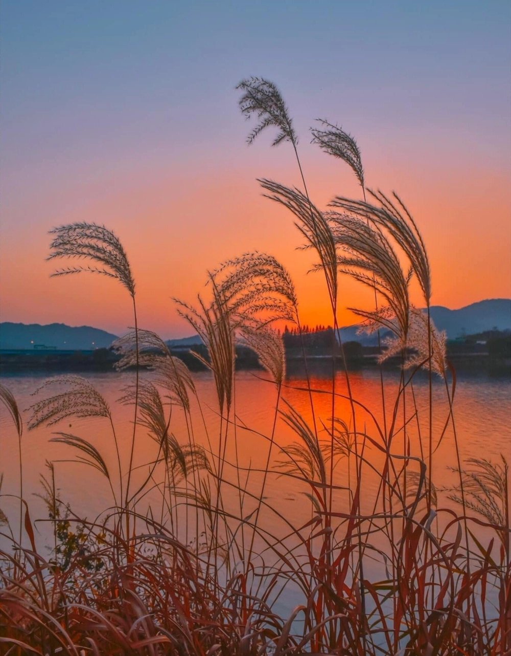 Tranh phong cảnh hoàng hôn đẹp lãng mạn mê hồn