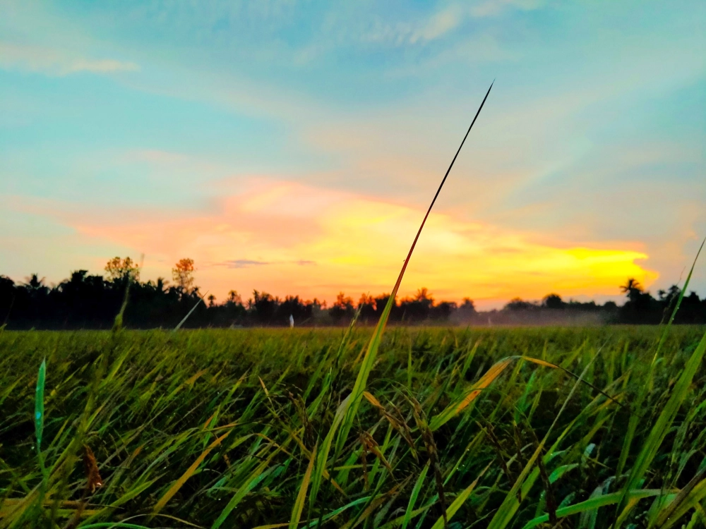 Vẽ tranh hoàng hôn đơn giản dễ thương