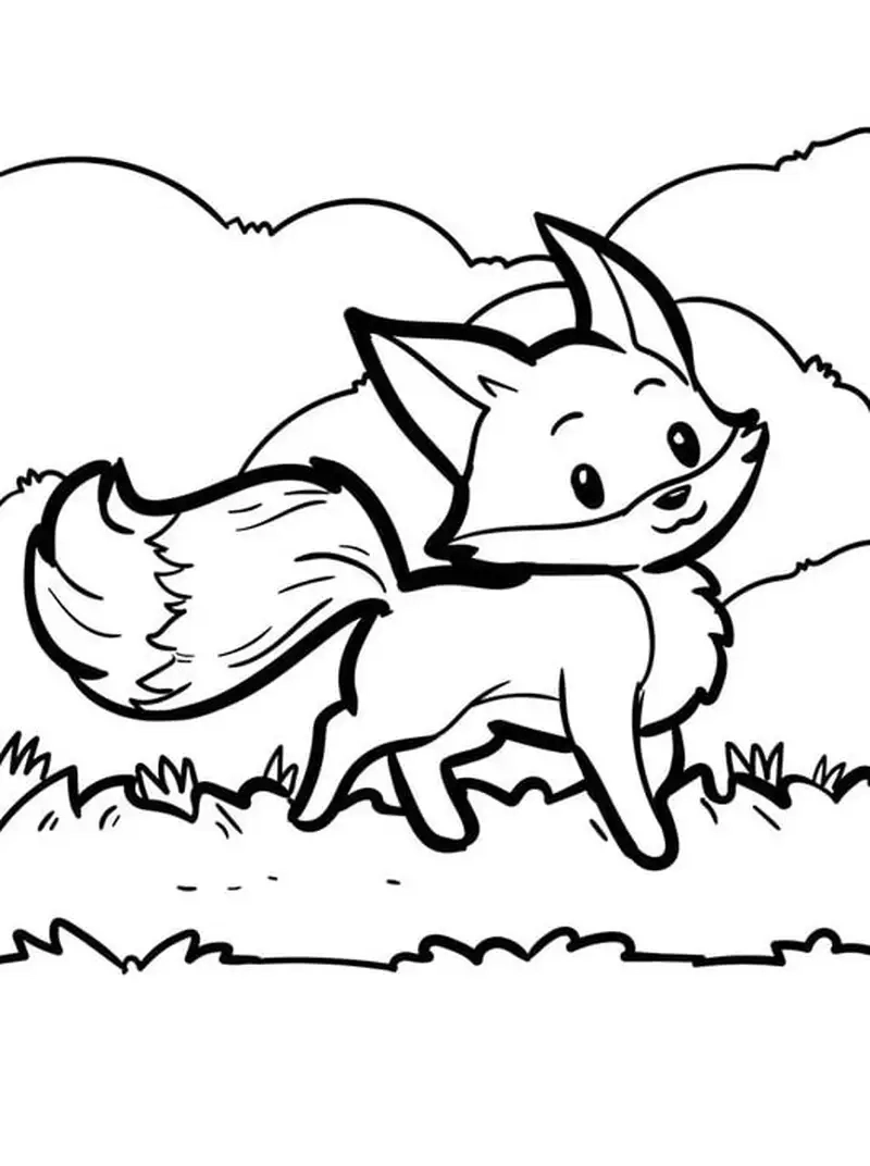 Tranh tô màu con cáo cam trắng lông mềm cuốn hút