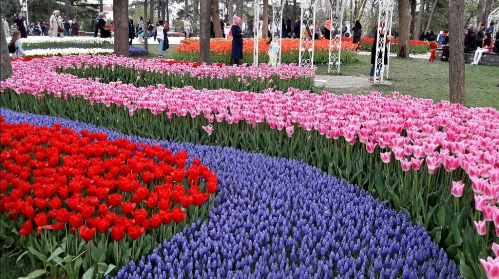 Tulip time parade ấn tượng với các đoàn diễu hành truyền thống
