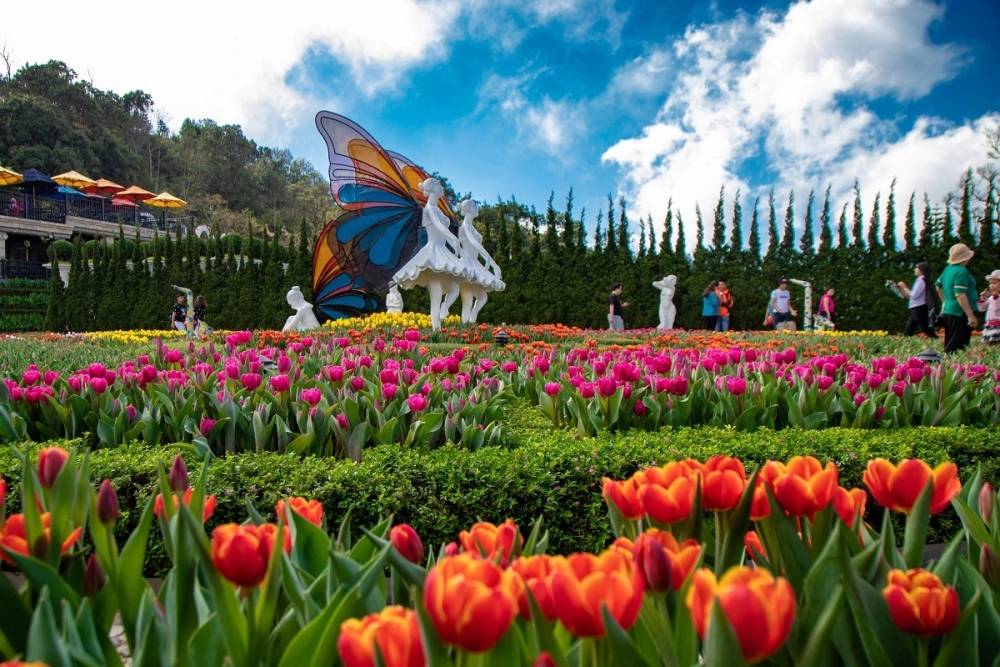 Lễ hội tulip time mùa xuân mang không khí tươi mới rực rỡ