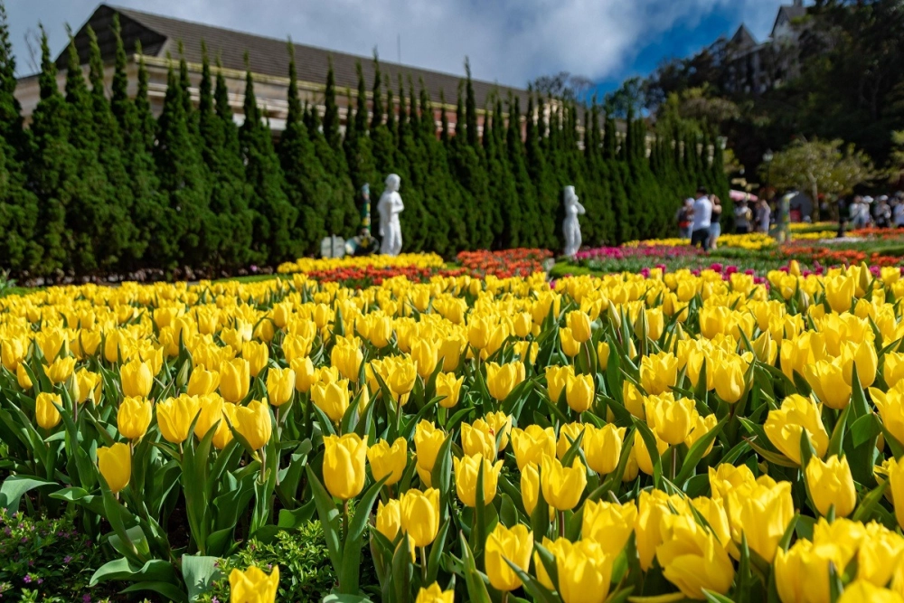 Văn hóa hà lan tulip time được thể hiện qua âm nhạc và trang phục