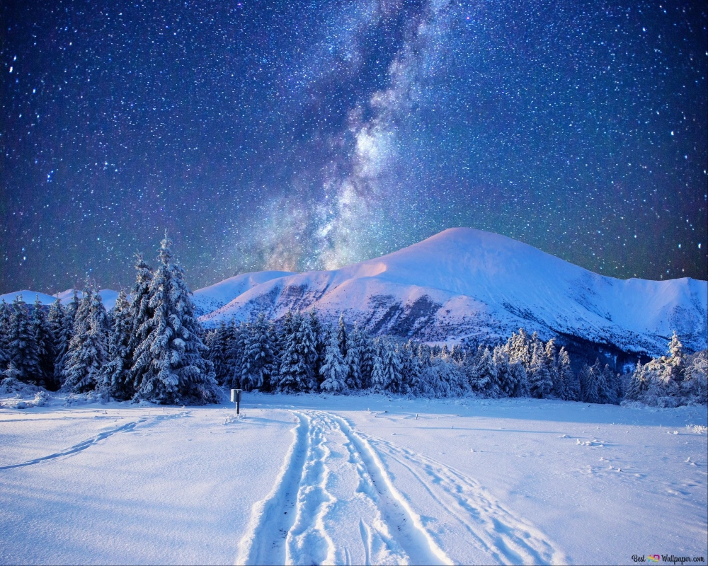 Cảnh tuyết rơi nhẹ nhàng tạo cảm giác yên bình và lãng mạn