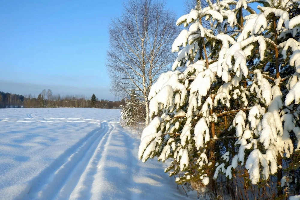 Phong cảnh tuyết trắng tinh khôi tạo cảm giác thanh bình dễ chịu