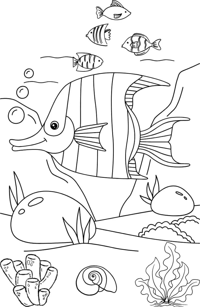 Tranh các con vật sống dưới nước đa dạng loài quen thuộc với bé